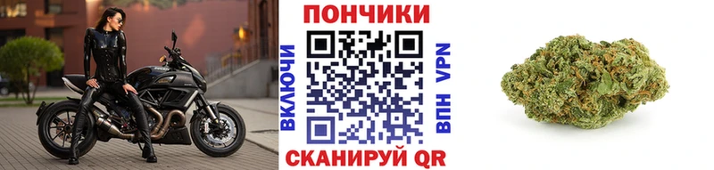 продажа наркотиков  Апатиты  Конопля Ganja 